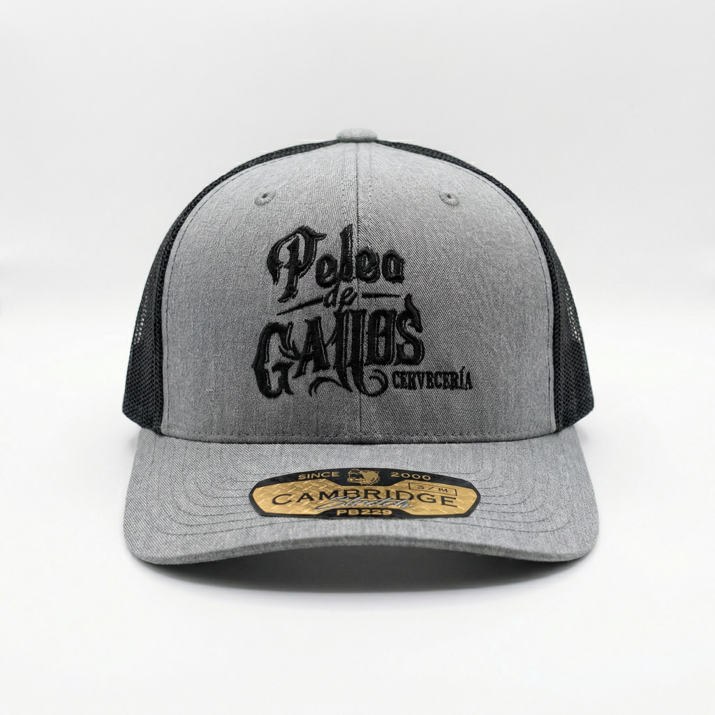 Gallo Acero